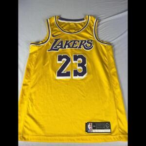 LeBron James #23 Los Angeles Lakers Nike Icon Authentic Jersey Size 44